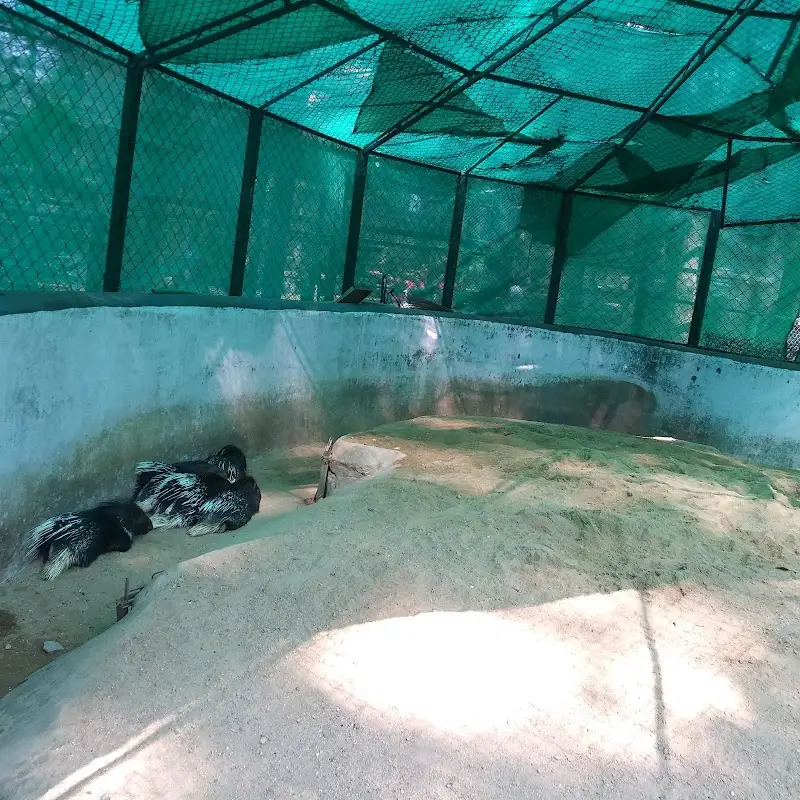 Bannerghatta Nature Camp-Jungle Lodges - Resort in Bengaluru