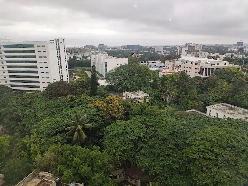 Lemon Tree Hotel, Electronic City, Bangalore - Swimming Pool in Bengaluru