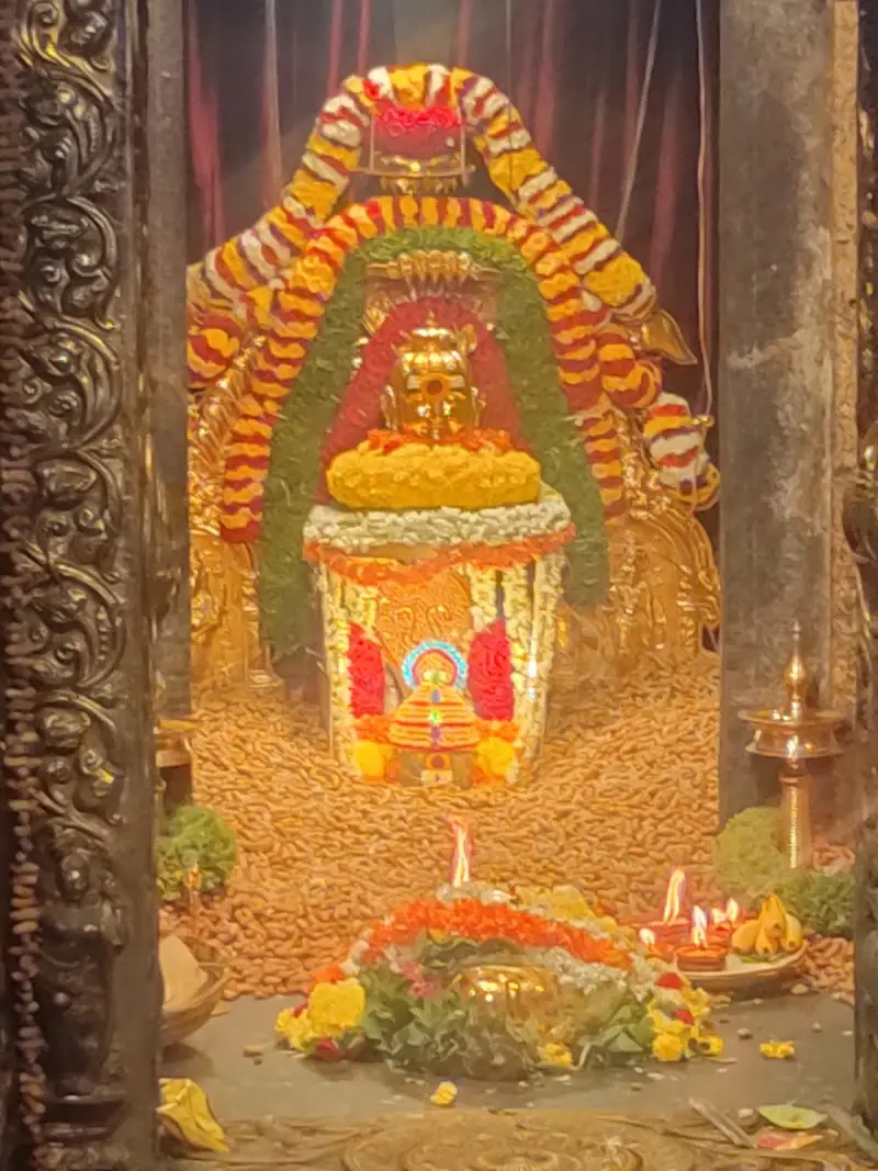 Shri Kadu Malleshwara Swamy Temple - Temple in Bengaluru