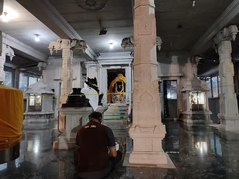 Shri Nagalingeshwara Swamy Temple - Temple in Bengaluru