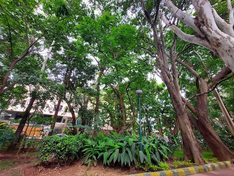 Mini Forest - Theme Park in Bengaluru
