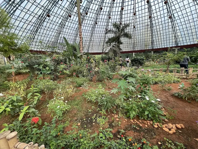 Butterfly Park - Tourist Attraction in Bengaluru